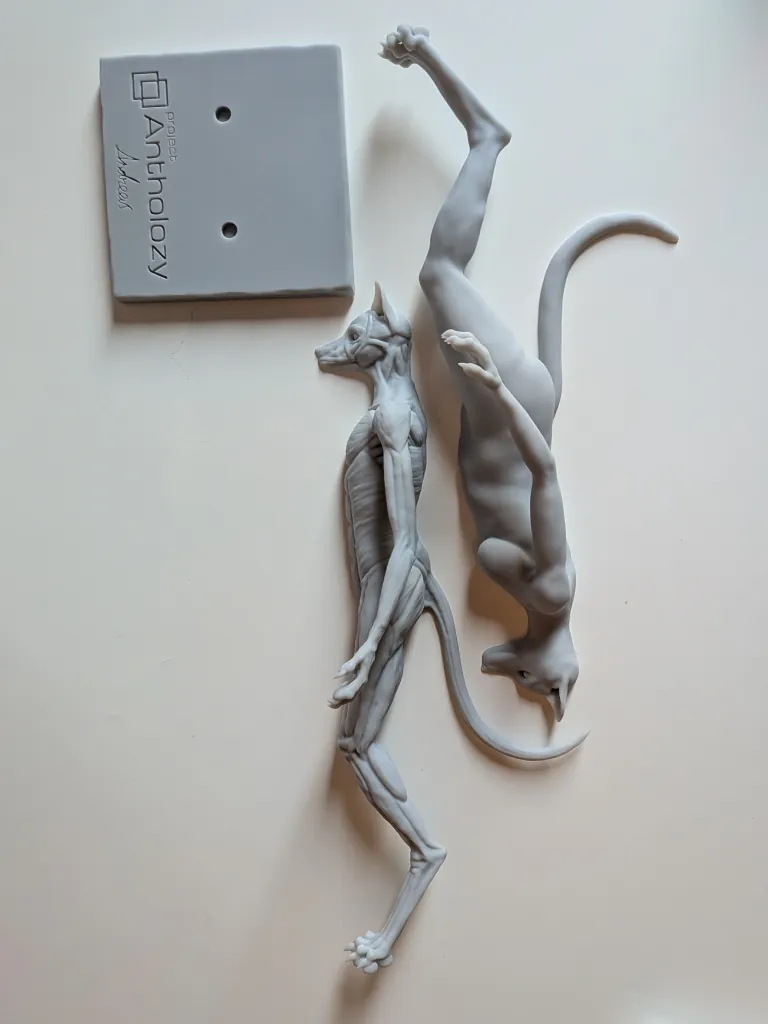 A 3D-printed pieces