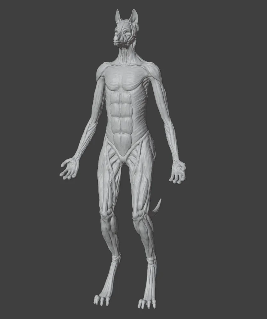 A Musculoskeletal side